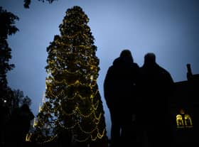 Ibrox will receive a Christmas Tree this year - despite the high price point