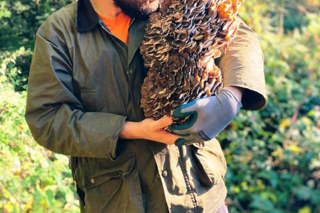 Forager Jim Parums with a huge find. The 32-year-old discovered foraging at a young age after watching his grandmother, Anne, 84, pick mushrooms. 