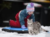 It’s important to make sure your cats are kept warm this Winter