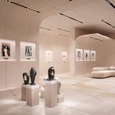 Art gallery pictured in the $40 million luxury underground bunker.