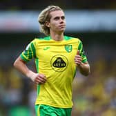 Rangers are working on a deal to sign Norwich City midfielder Todd Cantwell