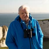 Sir David Attenborough presents Wild Isles