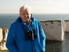 David Attenborough’s new nature documentary Wild Isles - how to watch on BBC One and where it was filmed