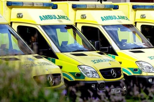 The West Midlands Ambulance Service and Yorkshire Ambulance Service each recorded 70 deaths last year