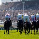 Spectators are seen in the grandstand at the Cheltenham Festival