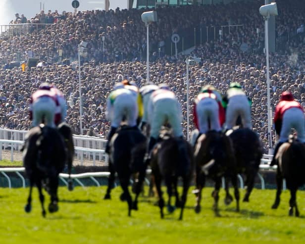 Spectators are seen in the grandstand at the Cheltenham Festival