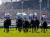 Spectators are seen in the grandstand at the Cheltenham Festival