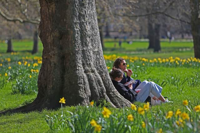 People sit by a tree as they enjoy the sunny weather.