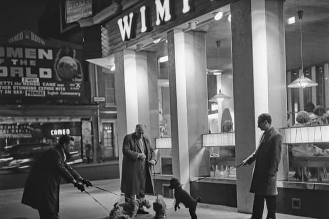 Dogs and their owners meet outside a Wimpy bar at nighttime(Photo by Evening Standard/Hulton Archive/Getty Images)