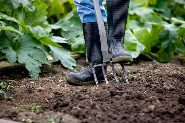 A garden fork is an essential for a a gardener (photo: Shutterstock)