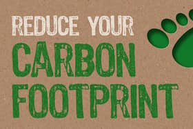 Reduce your carbon footprint (photo: Shutterstock)