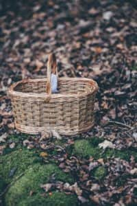 Finding a great place to forage will help you create a stunning wreath (photo: Unsplash)