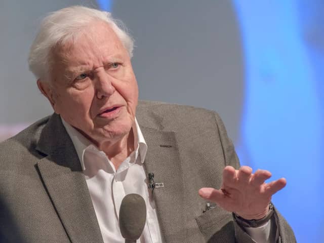 David Attenborough is to issue a stark warning to G7 leaders (Getty Images)
