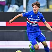 Sam Lammers of Atalanta