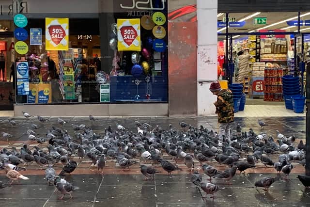 A young boy feeds the pigeons on Sauchiehall Street