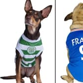 Celtic and Rangers fans can buy shirts designed specifically for dogs (Credit: Urban Pup)