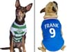 Celtic and Rangers release dog-friendly ‘retro football shirts’ - which can be personalised with your pet’s name