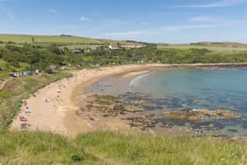 Over on the East coast, you can find Coldingham Beach a few miles south of the idyllic village of Eyemouth, The Sunday Times describes the beach as such: “There’s crystal-clear water frequented by seals, whales, dolphins and surfers; a friendly café and recently improved wheelchair access to what is a hidden jewel of the Berwickshire coast.”