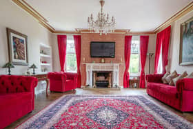 The living room of the property looks like it could be the set for a Wes Anderson film!