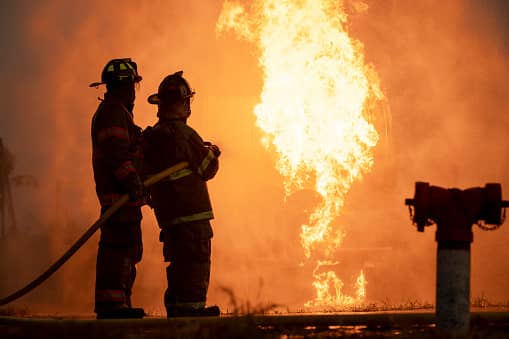 11 pet dogs were killed in a fire at private dog kennels in Staffordshire, the police said.