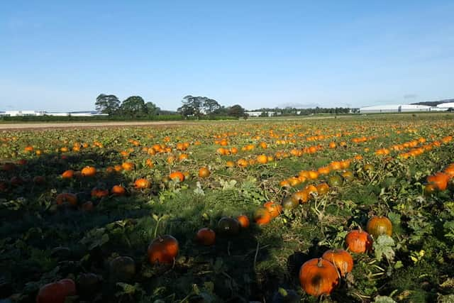 East Yonderton Farm is near Glasgow Airport