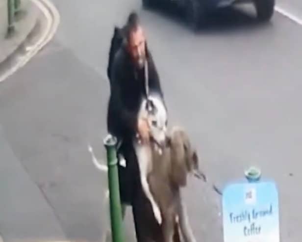 Police are looking to speak to the dangerous bull-breed’s owner in relation to the horrifying incident.