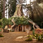 Shrek’s Swamp AirBnB: Rare opportunity for ogre enthusiasts to rent DreamWorks shack this Halloween