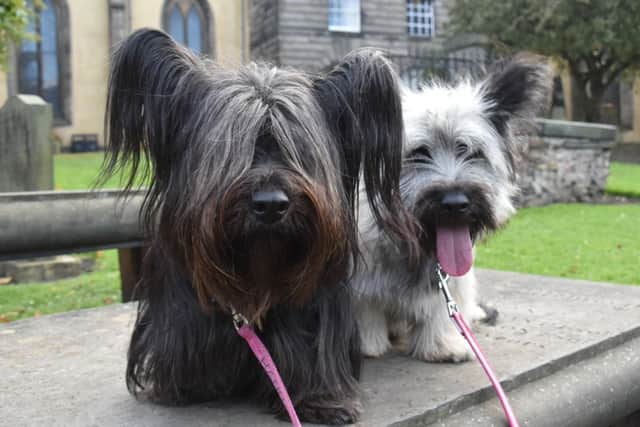 These two dogs enjoyed a pet blessing courtesy of the Church of Scotland