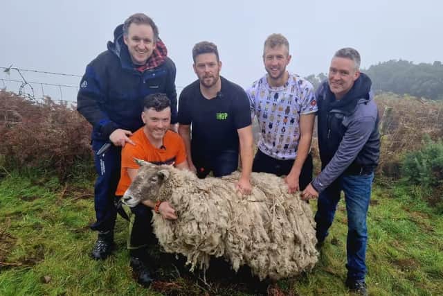 A group of farmers rescued Fiona on Saturday, November 4, though animal rights group Animal Rising claim this rescue was not in the sheep's best interests.