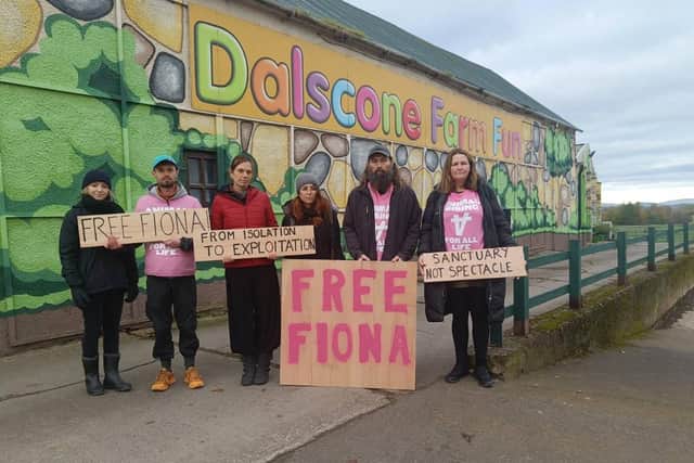 Animal Rising held a protest outside Dalscone Farm Fun on Sunday, November 5, in objection to the anticipated arrival of Fiona, Britain’s loneliest sheep.