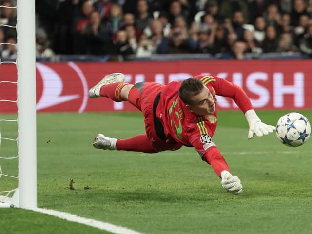 The Real Madrid goalkeeper has earned praise