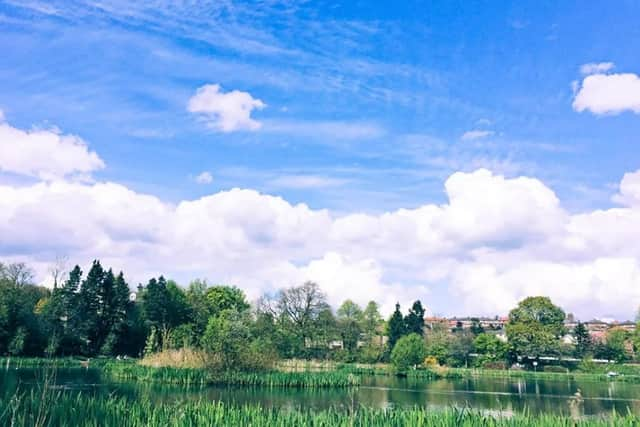 Bingham Park is a new local nature reserve