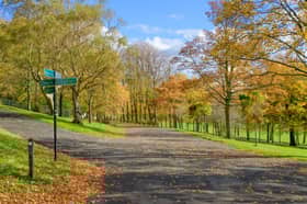 Roads around Bellahouston Park will shut this week while the BBC film a new comedy show