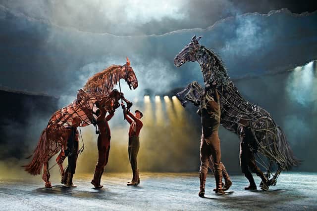War Horse