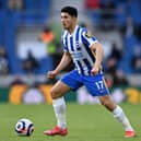 Steven Alzate of Brighton & Hove Albion