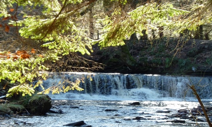 Visitors go to the waterfall or the playpark, locals use the paths through Calderglen as a walking route at weekends.