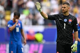Slovakia's goalkeeper Dubravka