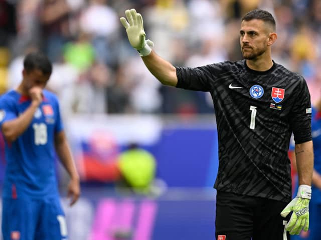 Slovakia's goalkeeper Dubravka