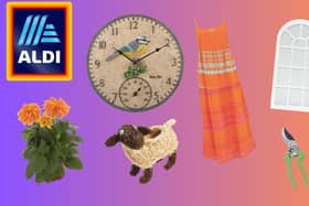 Aldi's Garden Event starts this weekend
