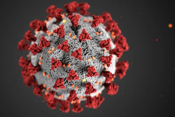 FLuQE is a new Covid variant that has been driving new cases. (Photo: Pexels, CDC)