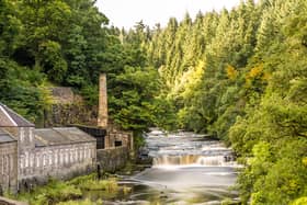 New Lanark a UNESCO World Heritage site right on our doorstep - if you've never been you're missing out. Bring the dog and the family down for a lovely walk through the quaint old town onto the Falls of Clyde - a truly stunning viewpoint.