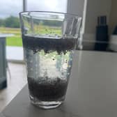 Tadpole Water after 2 hours