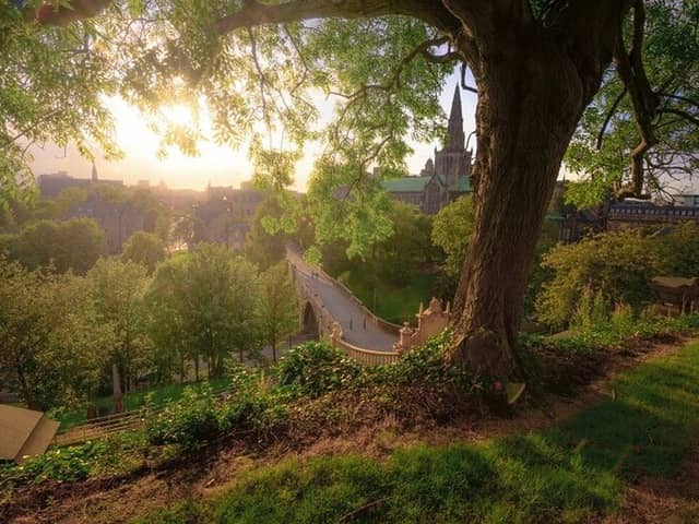If you are looking for the perfect city walk with a view, head for Glasgow Necropolis which is a great way to spend an autumn day. 