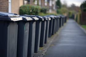 Row of black wheelie bins lined up on a residential street, ready for collection.