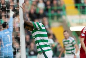 Adam Idah's reaction says it all after a good chance.