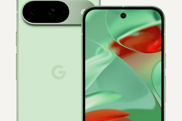 The Google Pixel 9