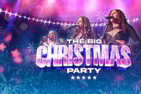 The Big Christmas Party