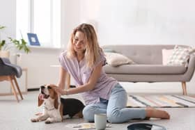 The Lefant F1 Pro is ideal for families with pets, thanks to its anti-tangle tech