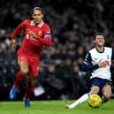 Brennan Johnson of Tottenham Hotspur goes down as he runs for the ball under pressure from Virgil van Dijk of Liverpool