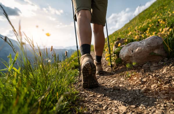 More people want to go on walks this year